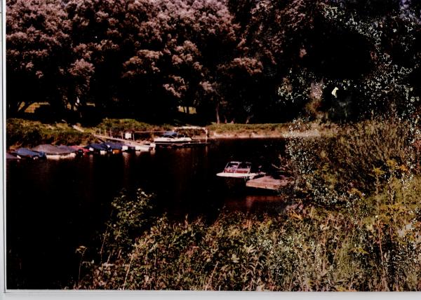 Scan0008