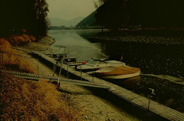 imm009